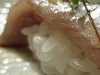 Spanish Mackerel
